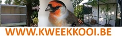 De kweek of broedkooi