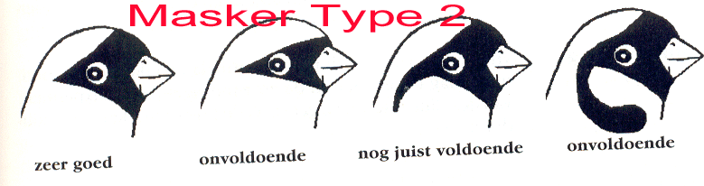 Tip 2: Mozaïek kop tekening