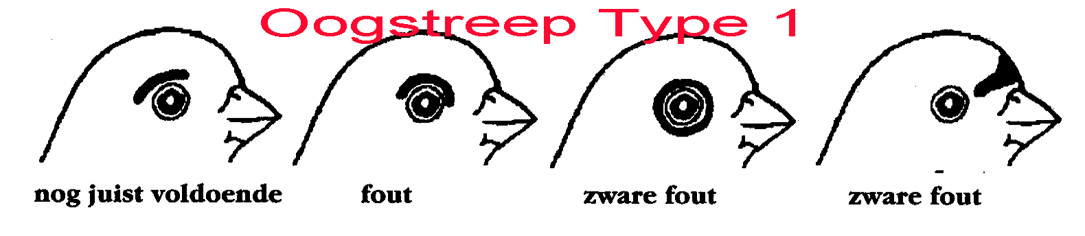 Het opvoeren van roodmozaiek