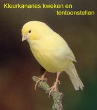 Kweken en Tentoonstellen van Kanaries