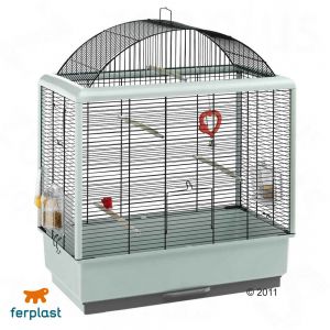 Purchase a canary for the living room