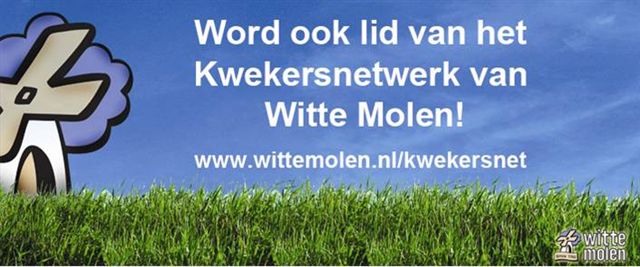 Deel 4: De eiwitten
