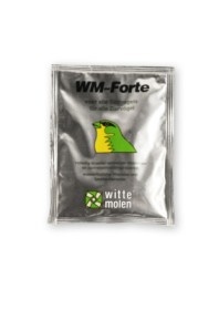 wm forte