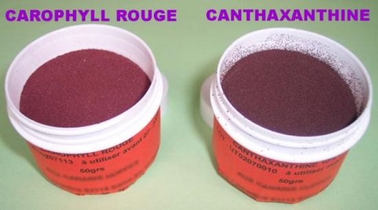 Canthaxanthine water oplosbaar