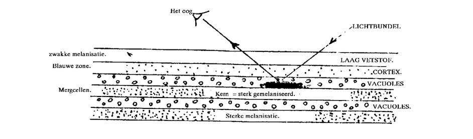 Deel 14 fig 1.