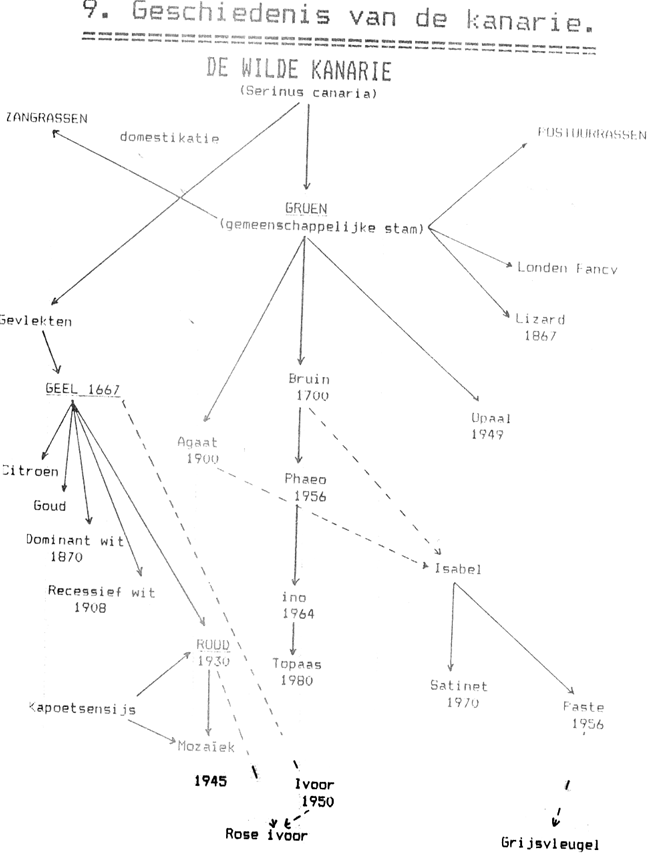 Cursus Deel 20 : Geschiedenis Kanarie