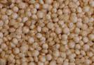 Quinoa zaad
