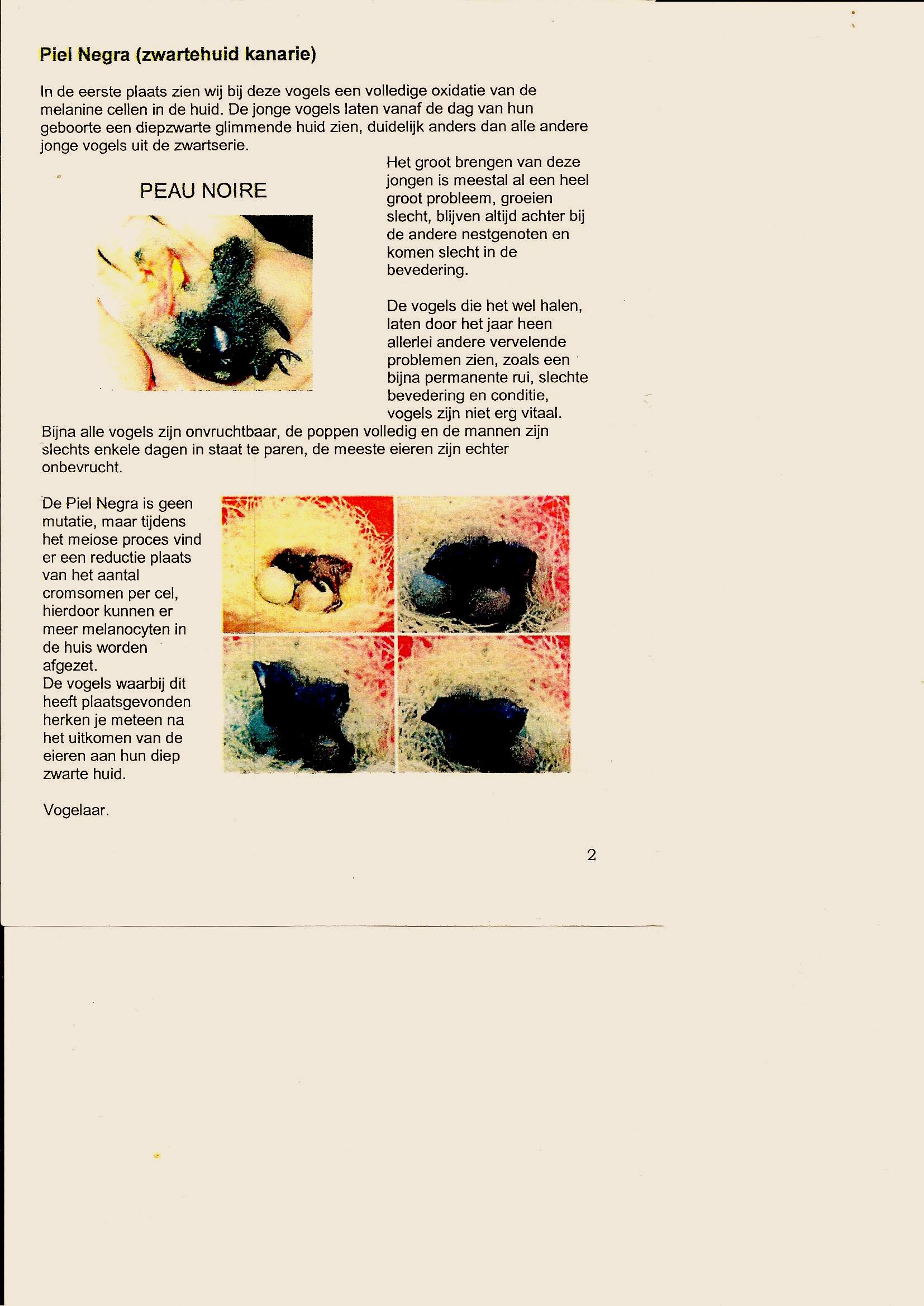 zwarthuid 1